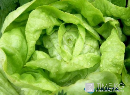 Самые полезные продукты питания для здорового сна