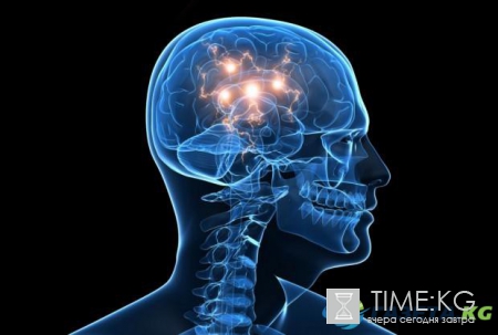 Самые распространенные заблуждения человечества