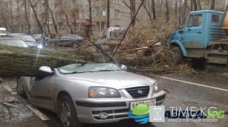 Ураган в Москве: последствия разгула стихии оказались печальными