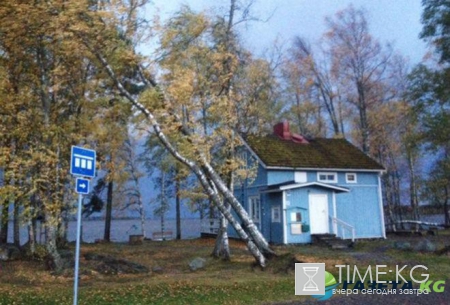 В Финляндии из-за шторма обесточено свыше десяти тысяч домохозяйств