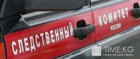 В Иркутской области 7-летняя девочка напала с ножом на грабителя, пытаясь спасти мать от смерти