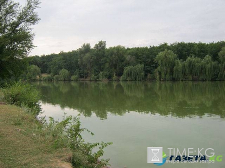 В Пермском крае нашли тело утонувшей женщины