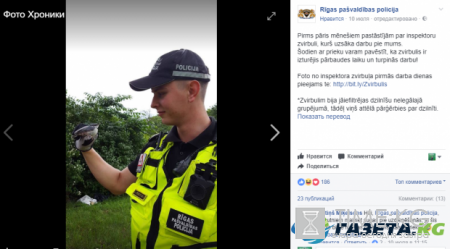 В Риге воробья наняли младшим инспектором полиции