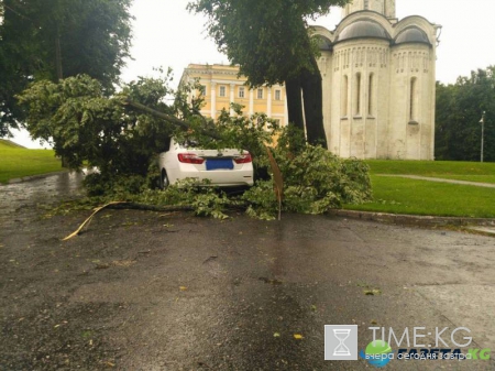 В сети обнародованы фото последствий жуткого урагана во Владимире&#8205;