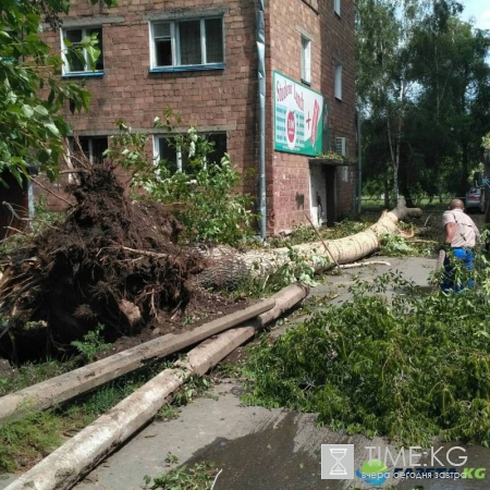 В Сети появились фото жуткого урагана в Абакане