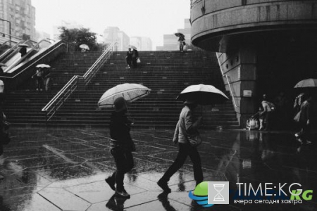 В Туле суббота окажется пасмурной