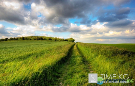 В воскресенье погода вновь не порадует украинцев