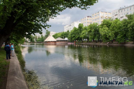 Водоемы Москвы кишат личинками опасных насекомых: экологи бьют тревогу