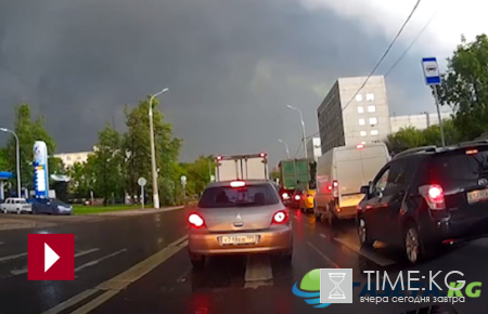 Житель Москвы чудом уцелел после падения дерева