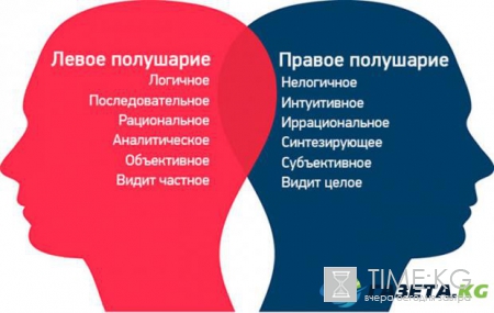 13 августа - Международный день левши: интересные особенности и яркие представители
