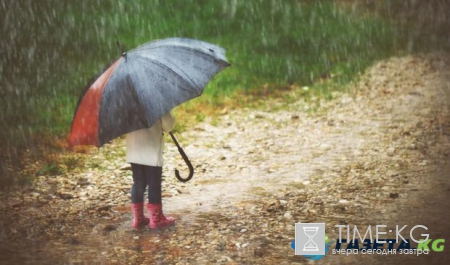 Гисметео Украина: погода на 26 августа – в Украине ожидаются дожди 