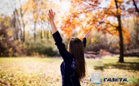 Гороскоп на сентябрь: чего ждать в карьере и любви