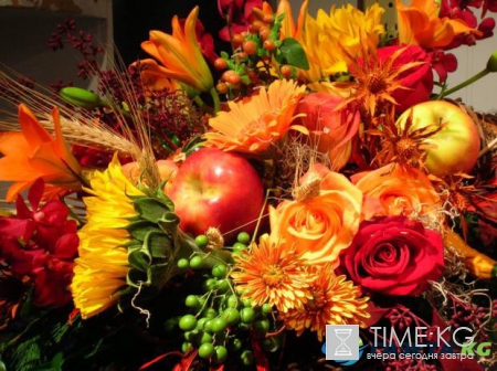 Гороскоп на сентябрь: чего ждать в карьере и любви