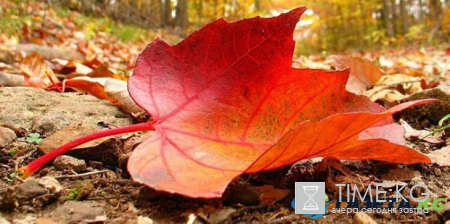 Гороскоп на сентябрь: чего ждать в карьере и любви