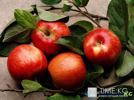 Как очистить легкие курильщика: ТОП продуктов способных быстро справиться с кашлем