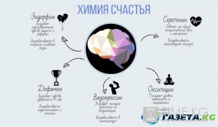 Как стать счастливым: рекомендации нейробиологов