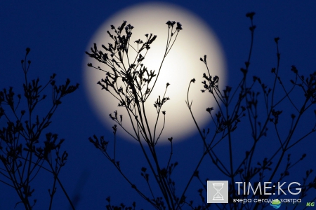 Лунный календарь на август 2017: когда растущая, полнолуние, убывающая луна, новолуние, фазы по дням