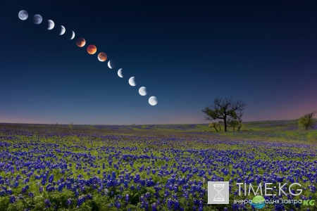 Лунный календарь на август 2017: когда растущая, полнолуние, убывающая луна, новолуние, фазы по дням