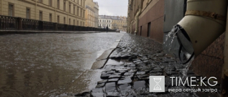 МЧС объявило штормовое и экстренное предупреждение в Петербурге