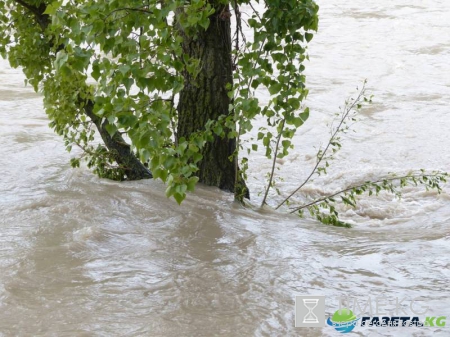 На Кубани жертвами ливней в трех районах стали 28 человек