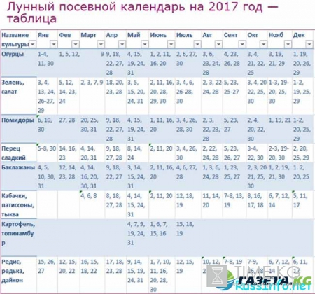 Посевной календарь на ноябрь 2017 года