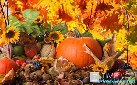 Посевной календарь на ноябрь 2017 года