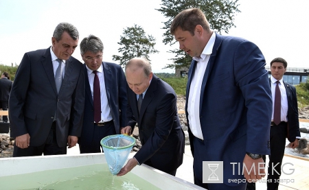 Путин выпустил на свободу «детей» омуля