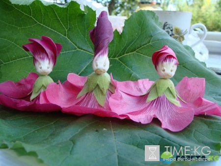 Самые замечательные Игры нашего детства. А вы делали куколки из мальвы?