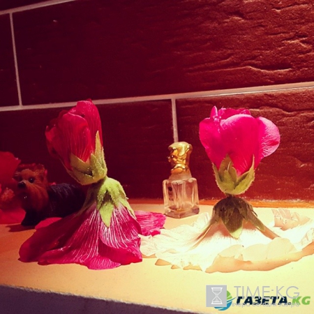 Самые замечательные Игры нашего детства. А вы делали куколки из мальвы?