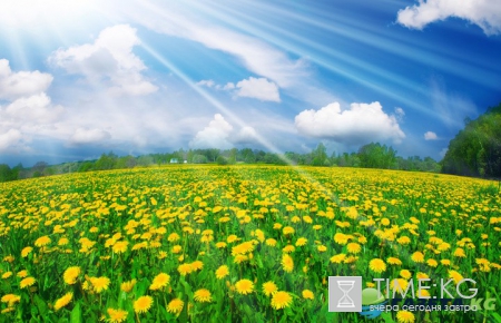 Сегодня в Украине будет и жарко и мокро