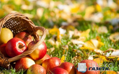 ТОП-6 продуктов для поддержания здоровья почек