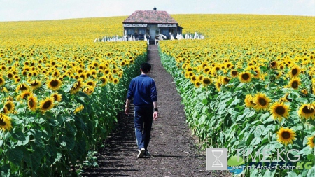 Украина глазами голливудских режиссеров: топ-5 фильмов