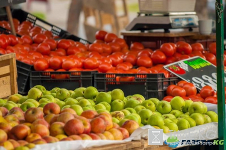 В РФ уничтожено за два года 17,5 тыс тонн санкционных продуктов