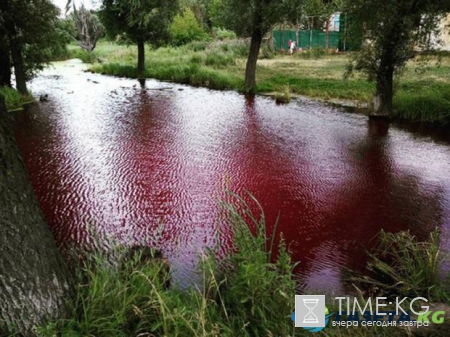 В Сумах  порозовело озеро: экологи ищут причину