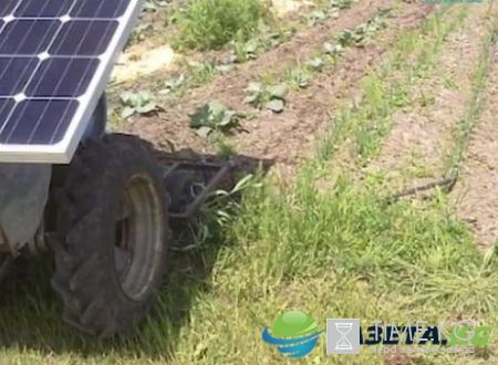 Житель Черниговщины создал мотоблок на солнечной батарее