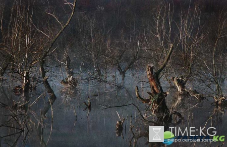 Живописные виды Молдовы от фотографа Олега Канеева