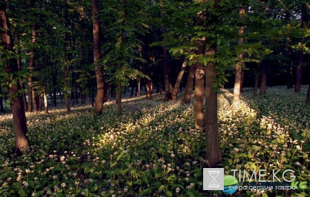 Живописные виды Молдовы от фотографа Олега Канеева