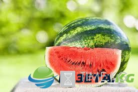 ТОП-6 продуктов для поддержания здоровья почек ТОП-6 продуктов для поддержания здоровья почек