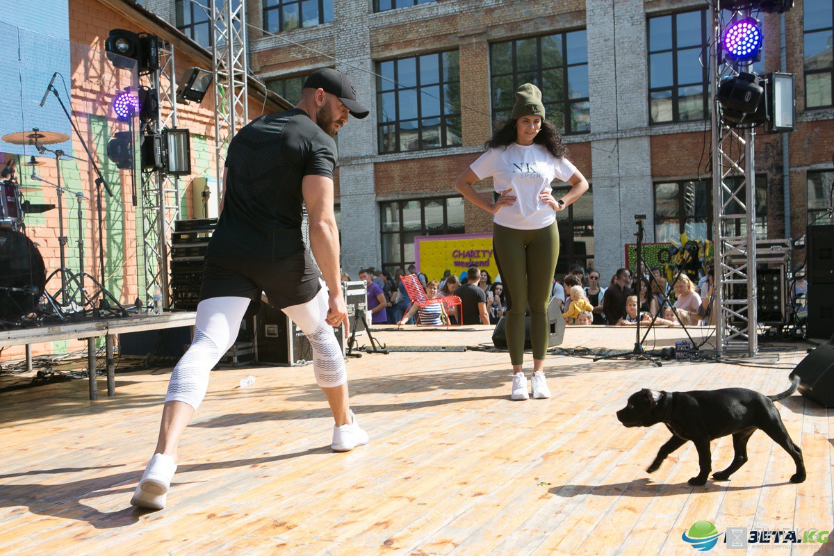 Charity Weekend. Здоровый день: йога от Астафьевой и закуски от Кравец