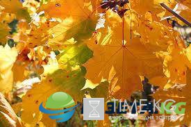 "Дом у озера" и "Сладкий ноябрь" попали в ТОП актуальных осенних фильмов