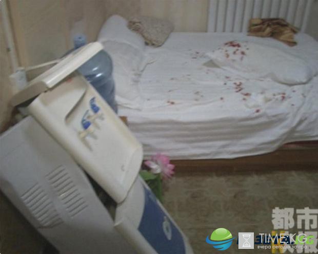 Ежи опасны: севшая на животное девушка оказалась на больничной койке Ежи опасны: севшая на животное девушка оказалась на больничной койке