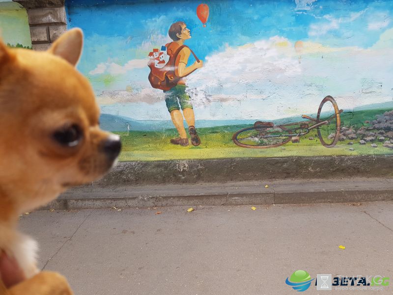 I Love Moldova. Об этом говорят граффити в Кишинёве на стенах стадиона. I Love Moldova. Об этом говорят граффити в Кишинёве на стенах стадиона.