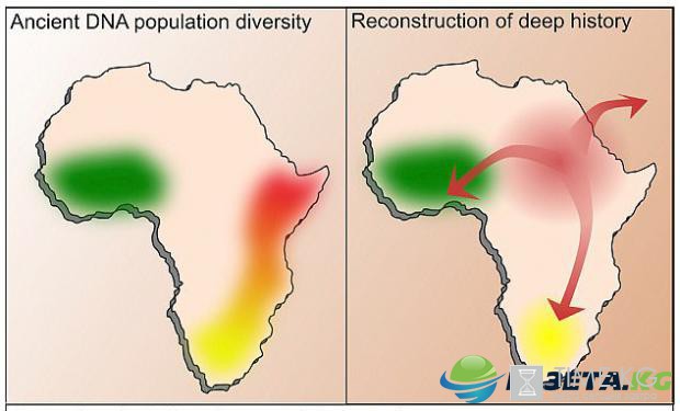 Как человек покорил Африку: результаты теста ДНК древних людей изменят историю континента