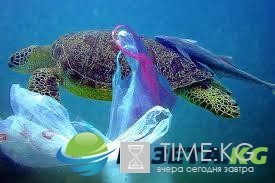 Какую воду пьют по всему миру: ученые обнаружили частицы пластика Какую воду пьют по всему миру: ученые обнаружили частицы пластика