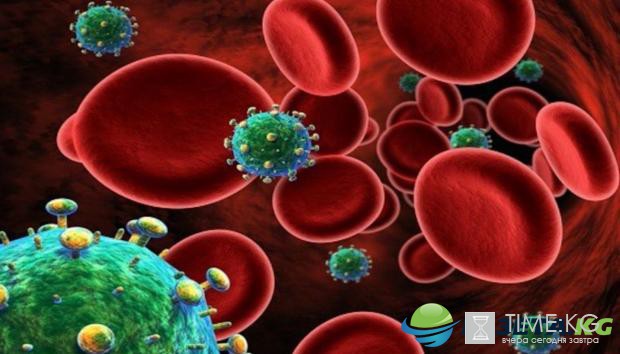 Мифы и факты: что следует знать и помнить о ВИЧ