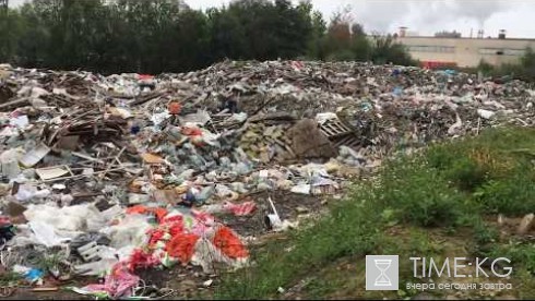 Под Петербургом обнаружили незаконную свалку с опасными отходами Под Петербургом обнаружили незаконную свалку с опасными отходами