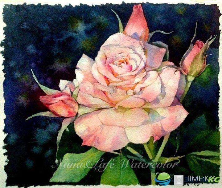 Самые красивые в мире розы! Нарисованы акварелью. Художник Sattha Homsawat (LaFe) Самые красивые в мире розы! Нарисованы акварелью. Художник Sattha Homsawat (LaFe)