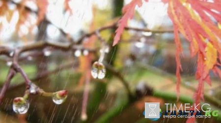 Гисметео Украина: погода на 3 сентября - стоит ожидать небольшого потепления