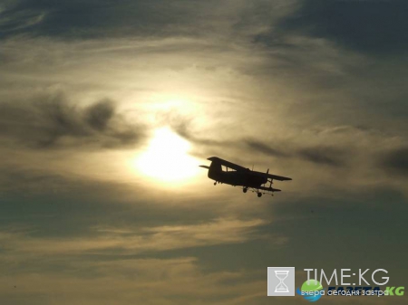 Один из погибших при крушении Ан-2 в Балашихе был фотокорреспондентом