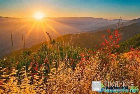 Самый длинный день в 2018 году